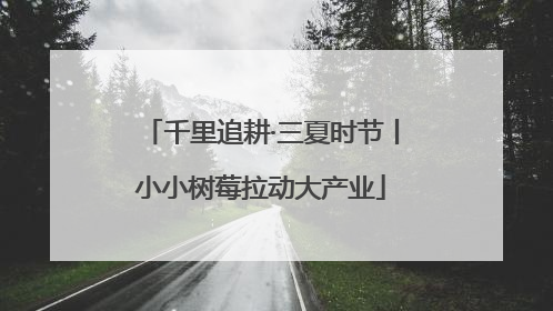 千里追耕·三夏时节丨小小树莓拉动大产业